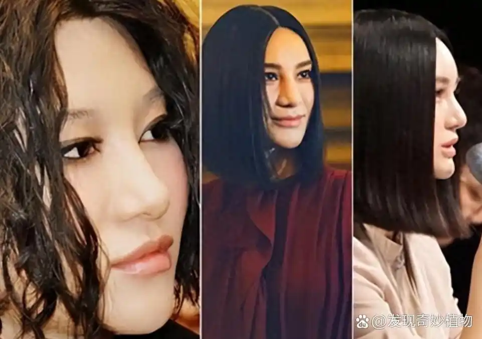 江映蓉:整容路走偏 江映蓉,曾是超级女声冠军,因容貌焦虑走上整容不